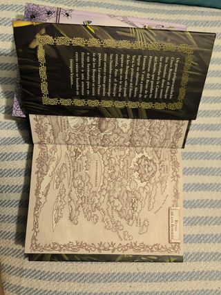 Libro de Tea Stilton