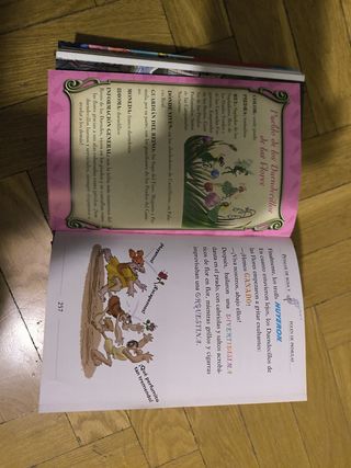 Librods Gerónimo Stilton reino de la fantasía 