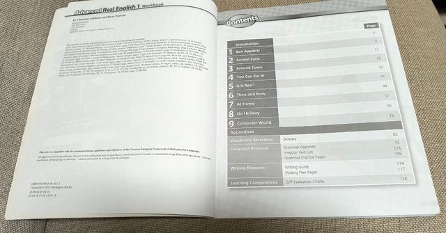 Inglês Real Avançado 1