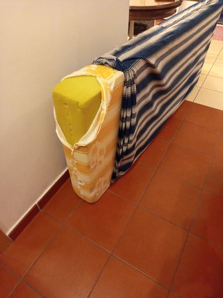 Cama nido