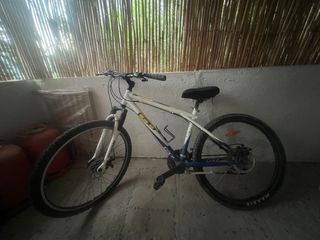 Bici MTB