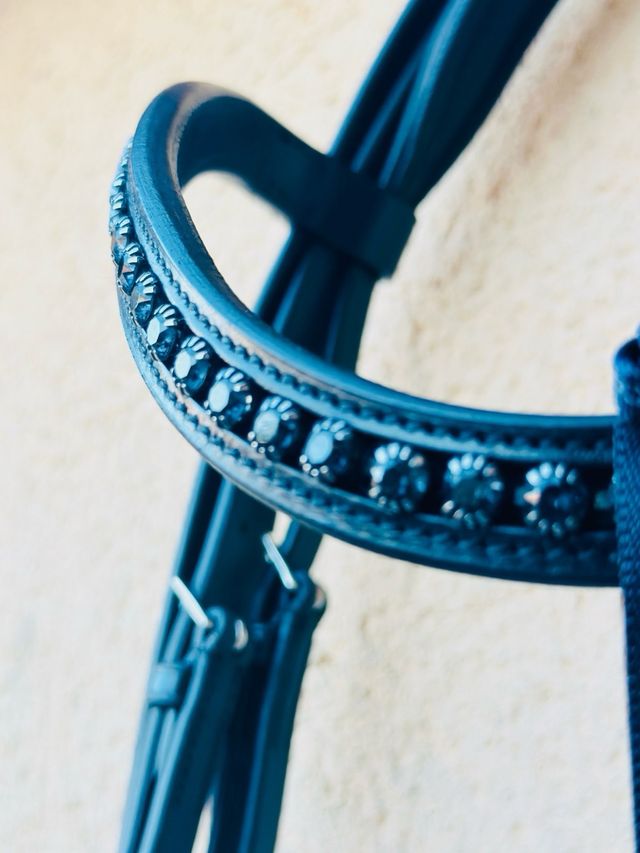 CABEZADA CABALLO PASSIER HUBERTUS SCHMIDT