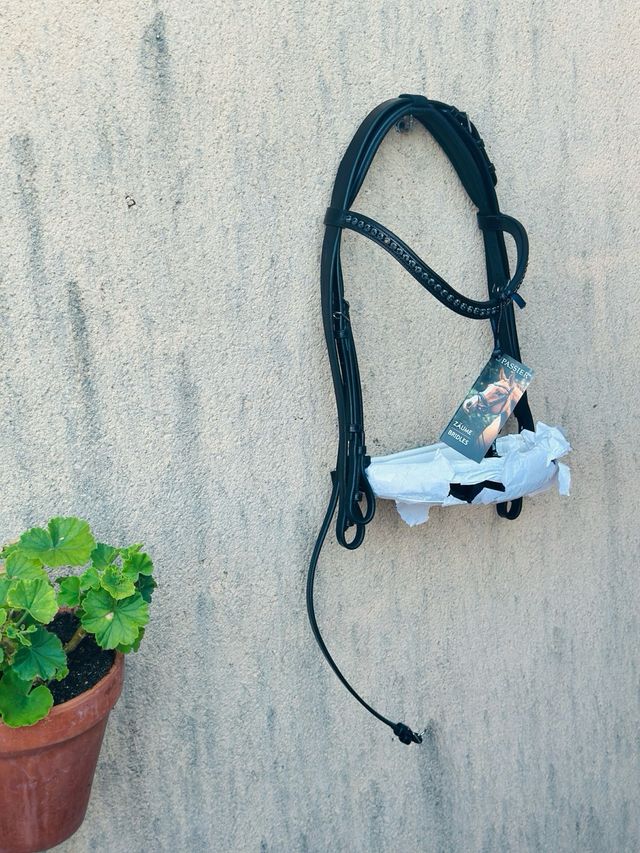 CABEZADA CABALLO PASSIER HUBERTUS SCHMIDT