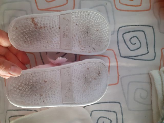 Lonetas Blanditos 24