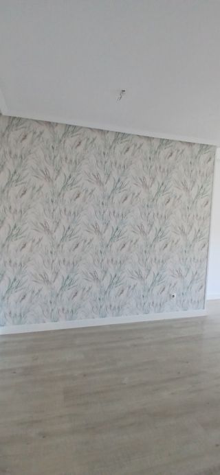 PINTAMOS TU CASA 