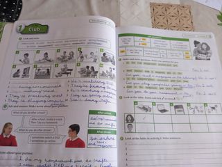 Diccionario Escolar Lengua Española