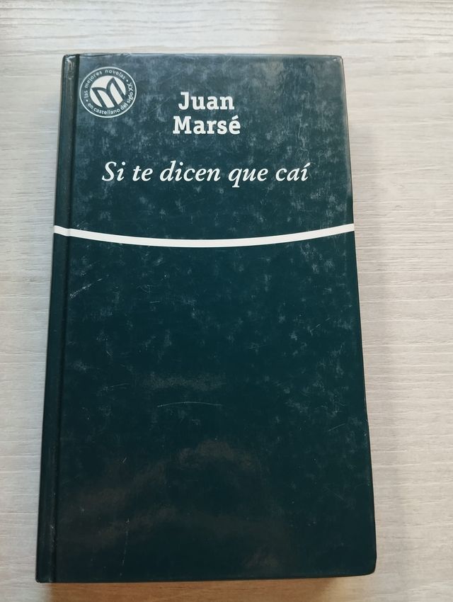 Si te dicen que caí