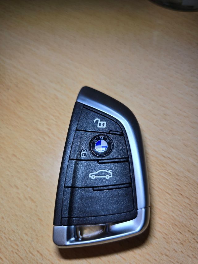 Codificacion Programacion llaveBMW F y G  Fem BDC