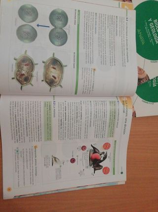 Biología y geología 4°ESO