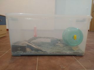 Jaula - Caja Hamster