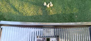 Moldura embellecedor cromado