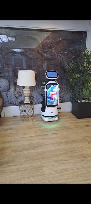 Robot CAMARERO ( SENA T10)