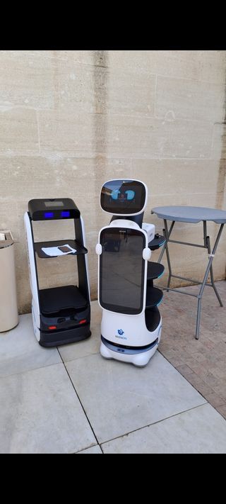 Robot CAMARERO ( SENA T10)