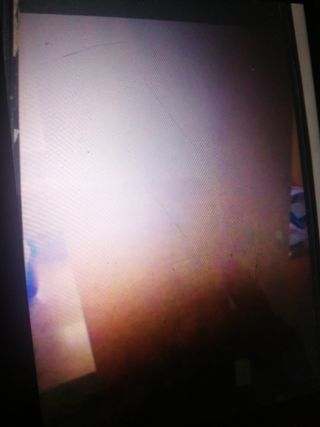 Módulo de salón wenge para botellas