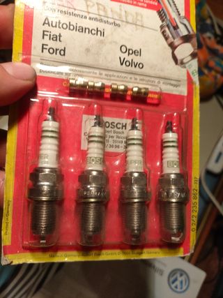 Candele Bosch