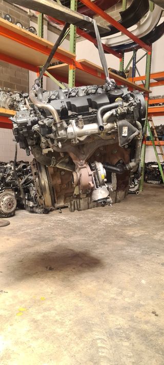 Motor Ford 2.0tdci G6DD