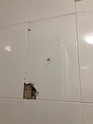 SE OFRECE MANITAS