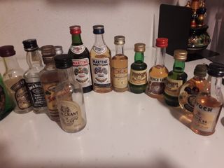 17 bottiglie mignon 8 vuote