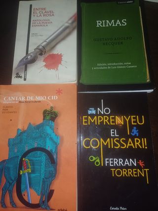 Libros lectura colegio salesianos.