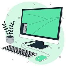 informatico a domicilio o a distancia