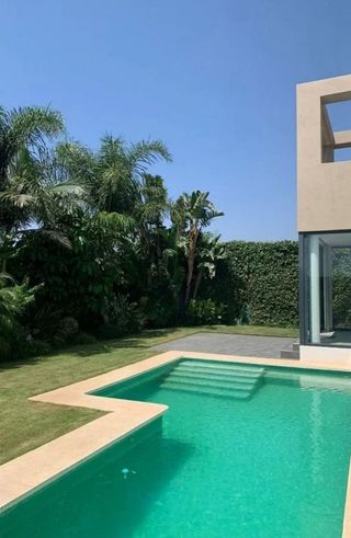 Jardinero y palmeras