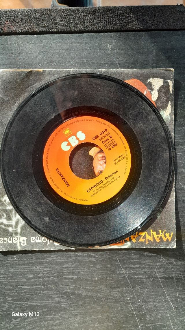 SINGEL MANZANITA PALOMA BLANCA