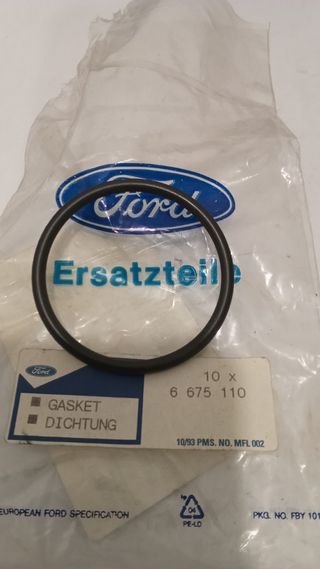 Torica bomba aceite fiesta escort capri