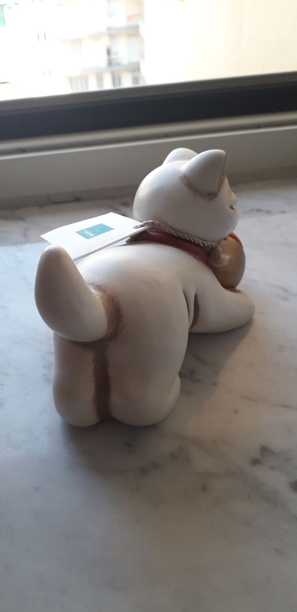 Gatto Thun con palla