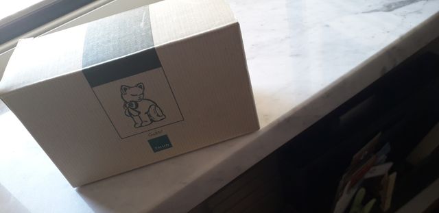 Gatto Thun con palla