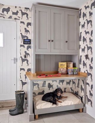 Muebles de madera para tu perro Valencia