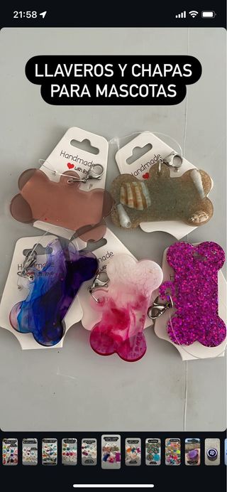 Chapita para mascotas