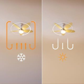 Ventilador de techo