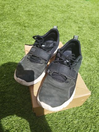 Nike SB Trainerendor 43