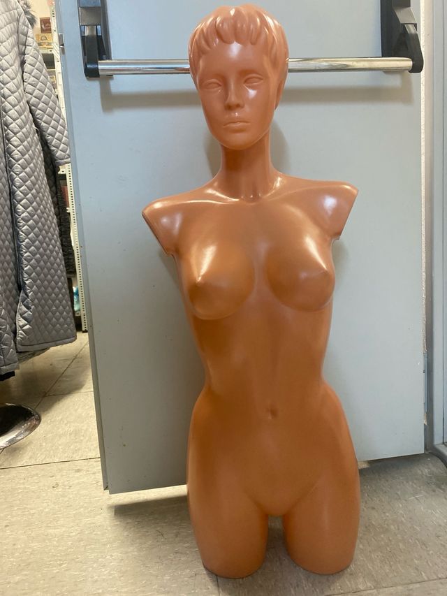 Maniquies