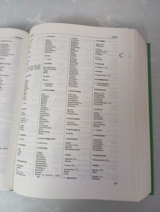 Diccionario español sinónimos y antonim