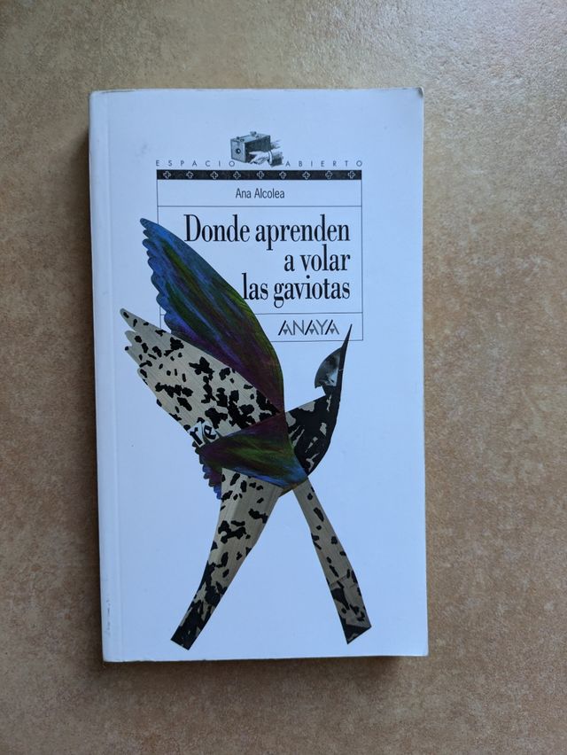 Donde aprenden a volar las gaviotas