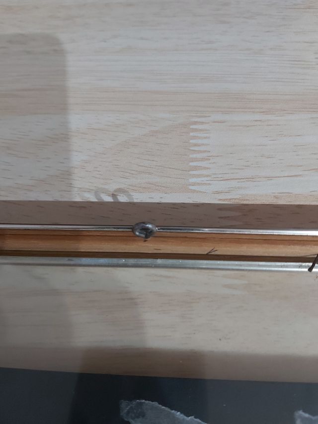 Hoja de la India pintada a mano