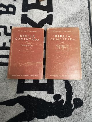 Biblia comentada profesores de salamanca