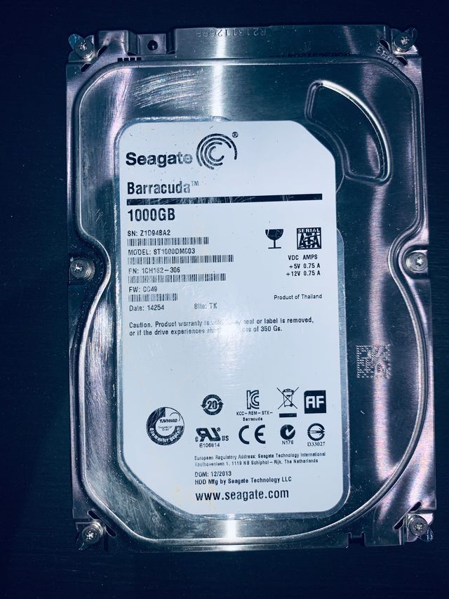 Hard Disk WESTERN DIGITAL e SEAGATE