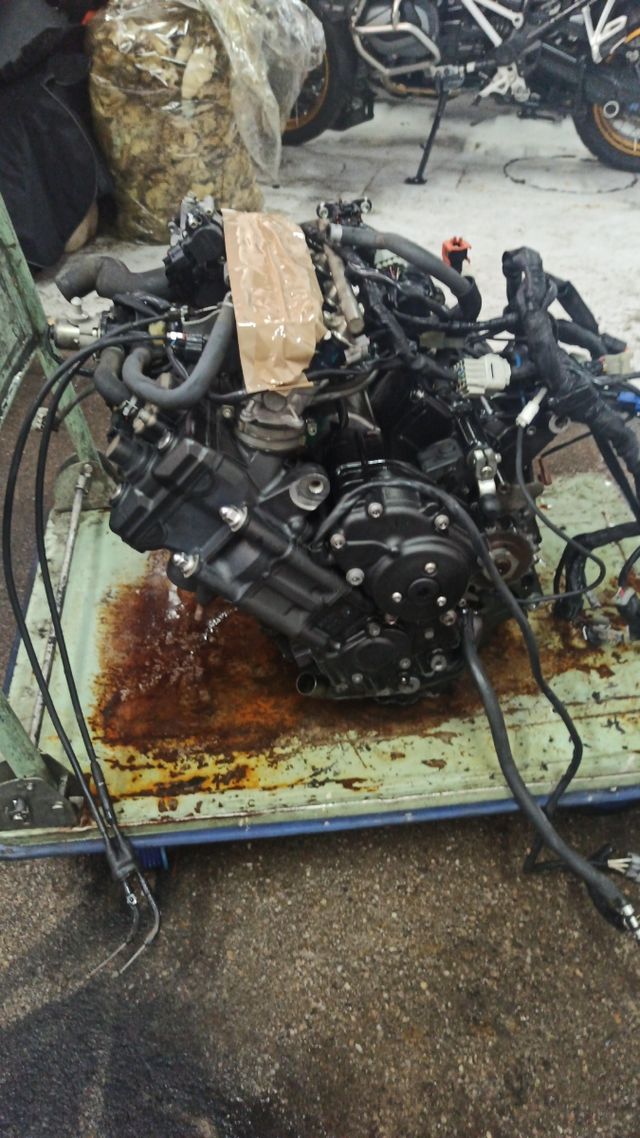 Yamaha fz1 motor