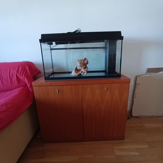 Acuario 80 litros