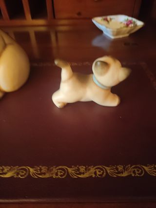 Coppia di gatti thun