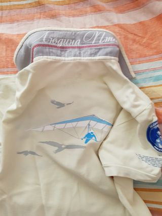 Polo Aviatsiya aeronautica ucraina