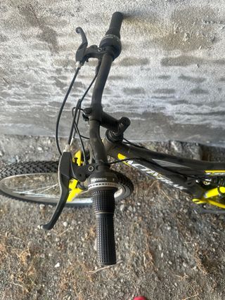 Bici