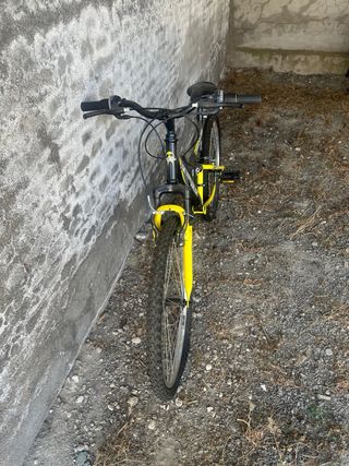 Bici