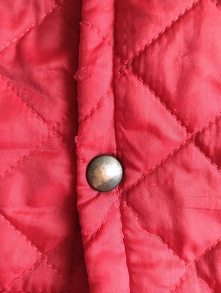 Smanicato futuro pilota 2 anni