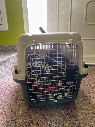 Cajetin perro pequeño + cojin REGALO
