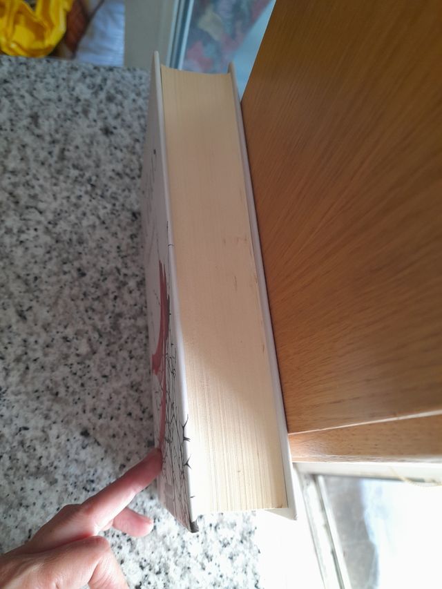 Imboscata di Nora Roberts