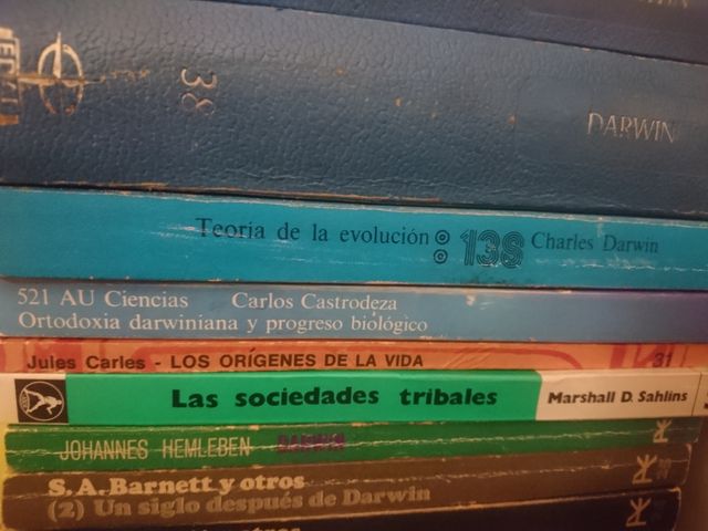 Libros sobre la evolución humana, social y de las
