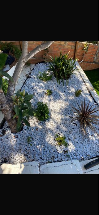 JARDINER / JARDINERO